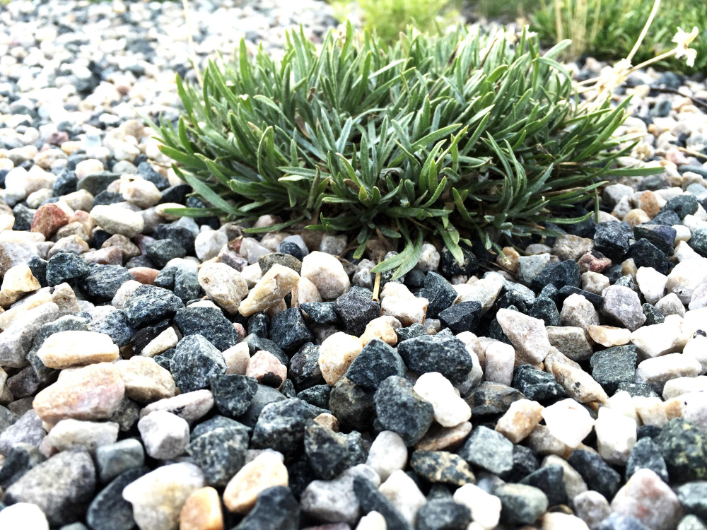 Dowiedz się, jak wykorzystać kamień ozdobny w ogrodzie, aby stworzyć spójną i naturalną przestrzeń, która porządkuje zieleń i sprzyja odpoczynkowi.