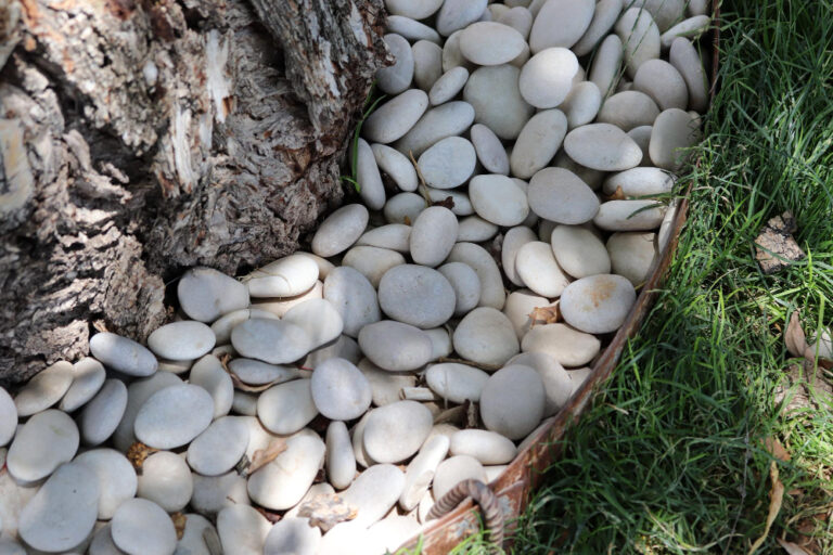 Sprawdź, jak wykorzystać kamień do drenażu w ogrodzie. Skuteczne odprowadzanie wody, trwała struktura i idealne rozwiązanie także do oczyszczalni