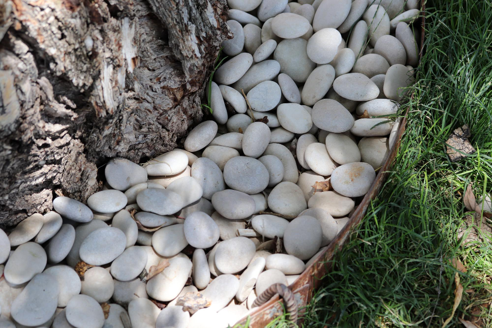 Sprawdź, jak wykorzystać kamień do drenażu w ogrodzie. Skuteczne odprowadzanie wody, trwała struktura i idealne rozwiązanie także do oczyszczalni